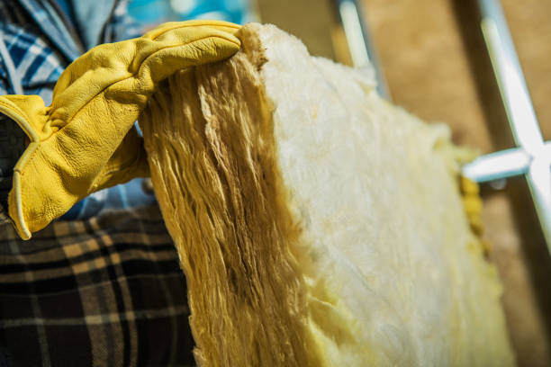 Best Specialized Insulation Services in Greenwood, SC